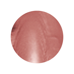 TOPFACE INSTYLE CREAMY LIPSTICK 4GM