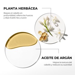 KARSEELL MACA MASK – Deep Repair & Shine for Damaged Hair | La Jolie Beauty
