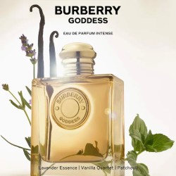 بربري غوديس إينتنس – أو دو بارفان – 100مل | La Jolie Beauty