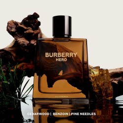 BURBERRY HERO – EAU DE PARFUM – 100ML | La Jolie Beauty