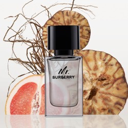 بربري مستر بربري – أو دو تواليت – 150مل | La Jolie Beauty