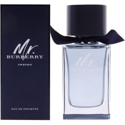 BURBERRY MR. BURBERRY INDIGO – EAU DE TOILETTE – 100ML | La Jolie Beauty