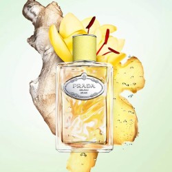 برادا إنفيوجن دي جنجمبر – أو دو بارفان – 100مل | La Jolie Beauty