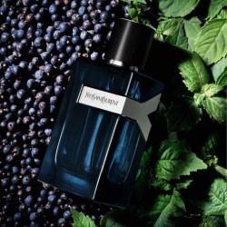 YVES SAINT LAURENT Y – Eau de Parfum Intense | Long-lasting Men’s Fragrance