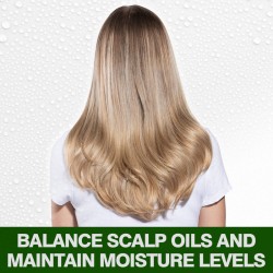 CHI TEA TREE SHAMPOO – Deep Refreshing Cleanse