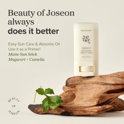 BEAUTY OF JOSEON MATTE SUN STICK 18G | MUGWORT & CAMELLIA | SPF50+ PA++++
