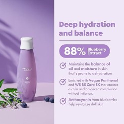 FRUDIA Blueberry Hydrating Toner 195ml