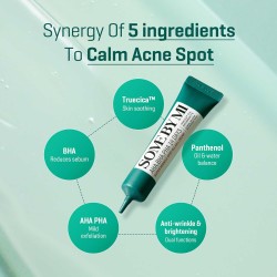 Some By Mi Super Miracle Spot All Kill Cream – AHA BHA PHA Acne Treatment 30ml