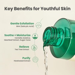 AXIS-Y Daily Purifying Treatment Toner – Salicylic Acid & Centella – 200ml