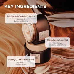 SKIN1004 Probio-Cica Enrich Cream – Deep Moisture & Barrier Repair – 50ml
