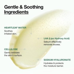 ANUA Heartleaf LHA Moisture Exfoliating Gel – Gentle Skin Renewal – 120ml
