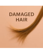 Damaged Hair | La Jolie Beauty